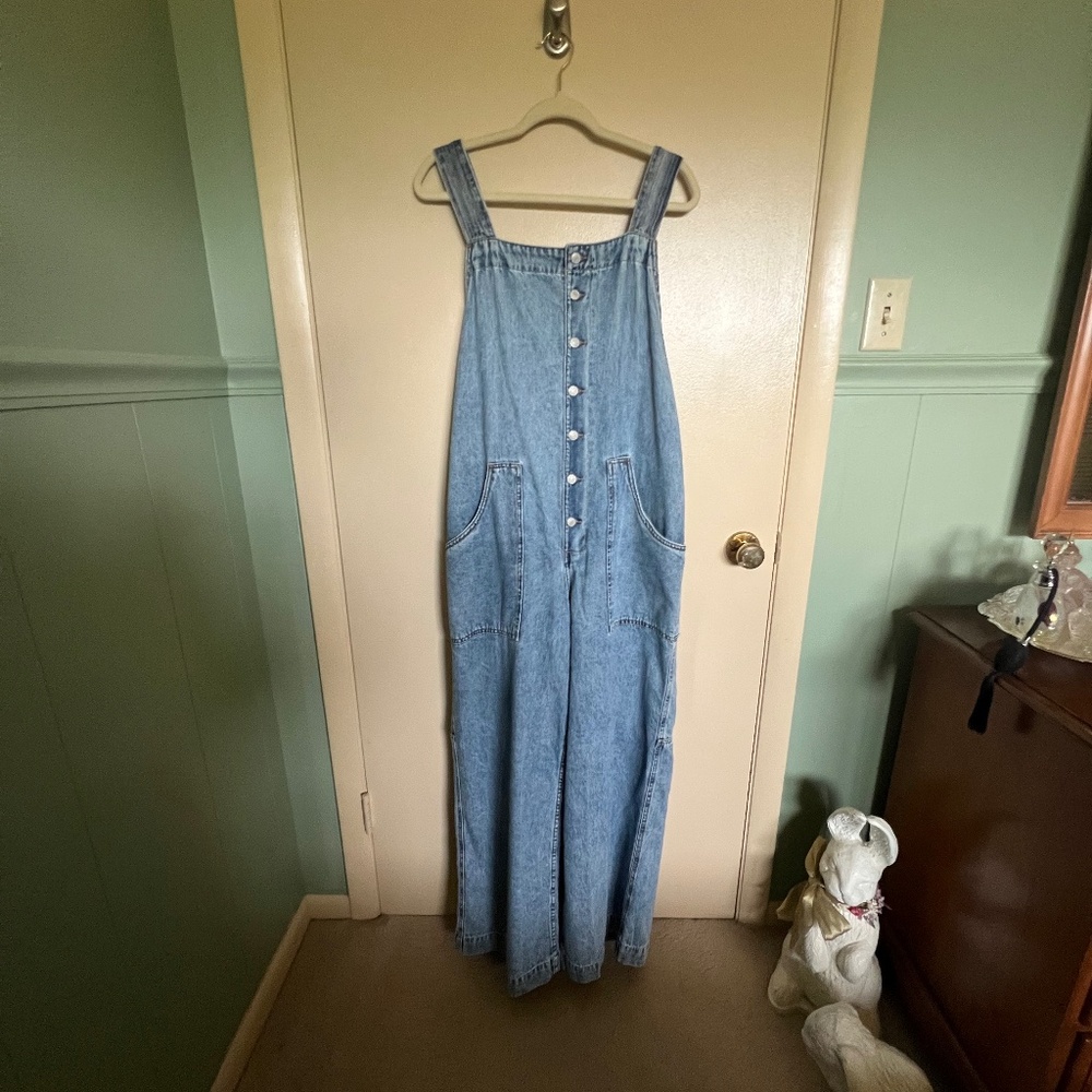 Free People Denim Overalls